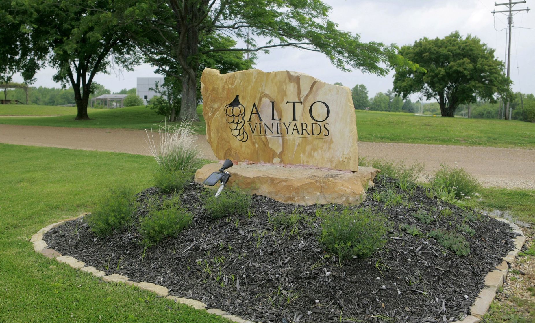Alto Vineyards
